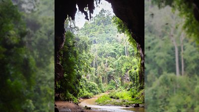 An entrance to a cave with a muddy river and greenery 