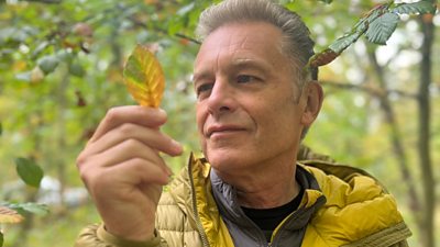 Chris Packham looks at an autumn leaf