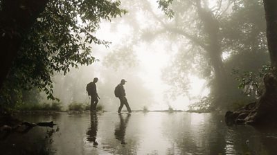 wide shot of two people walking across water in a rainforest 