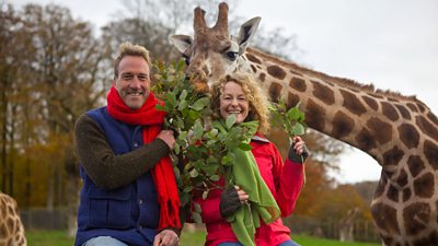 A giraffe leans in between a smiling Ben Fogle and Kate Humble. It eats leaves they're holding.