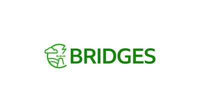 Bridges logo - with a stylised cloud and weather vane in green outline