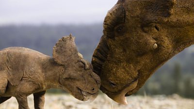 Close-up image of a Pachyrhinosaurus with its young. The two dinosaurs nuzzle.