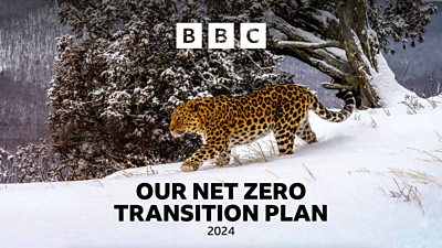 Composite image featuring text on a photo of a Snow Leopard walking through a snowy wilderness. Text on the image reads: “Our net zero transition plan 2024.” 