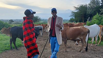 Wambaz standing in front of his herd of cattle