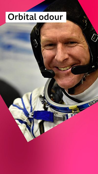 A man, Tim Peake, smiles. He is wearing an astronaut suit