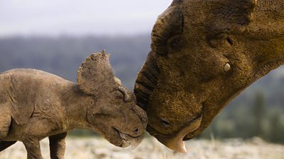 VFX image of an adult and baby pachyrhinosaurus.