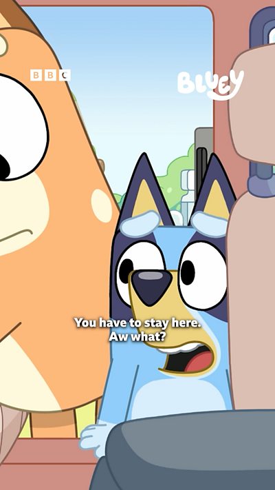 Bluey is stuck outside their car which is all full in the backseat.