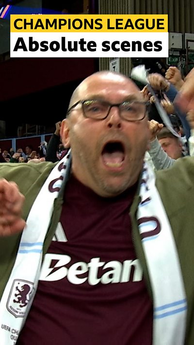 Aston Villa fan