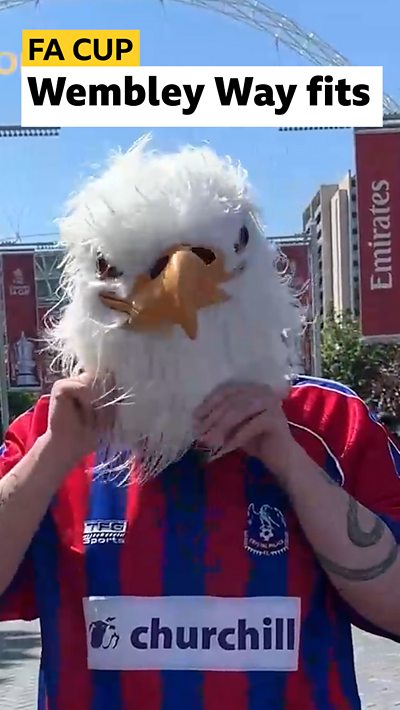 Crystal Palace fan