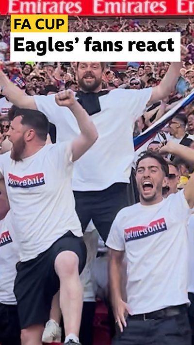 Crystal Palace fans