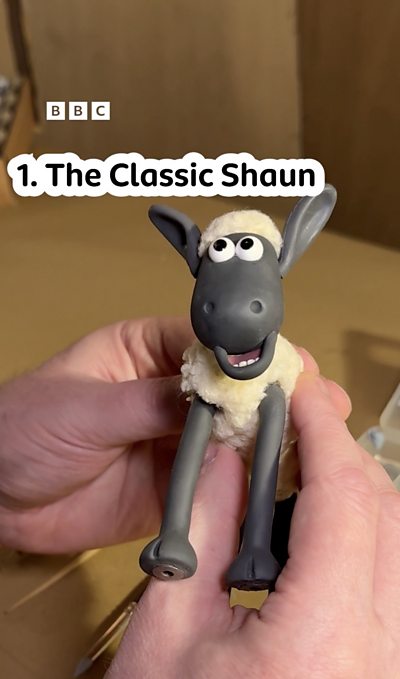 The many faces of Shaun!