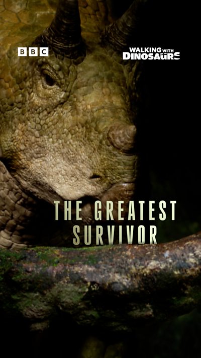 WWD 9X16 Survivor