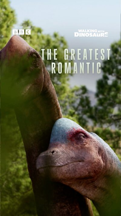 WWD 9x16 Romantic