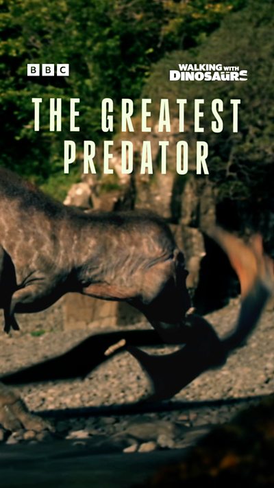 WWD 9x16 Predator