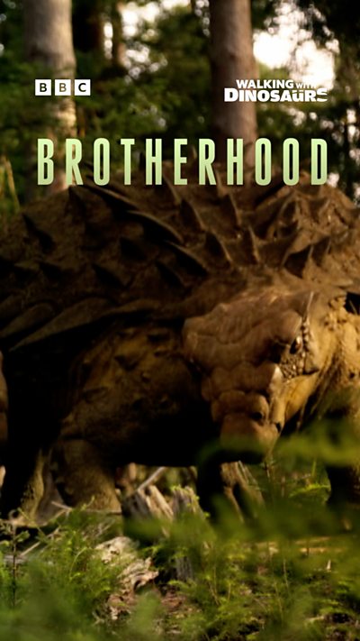 WWD 9x16 Brotherhood