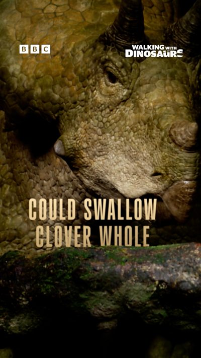 WWD 9X16 CLOVER