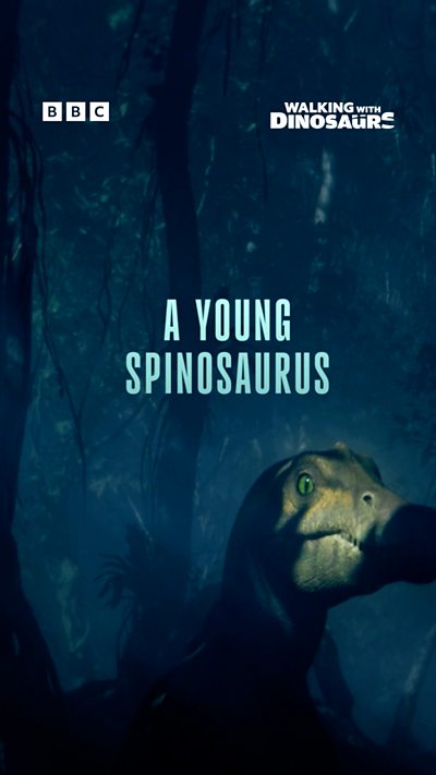 WWD 9X16 SPINOSAURUS