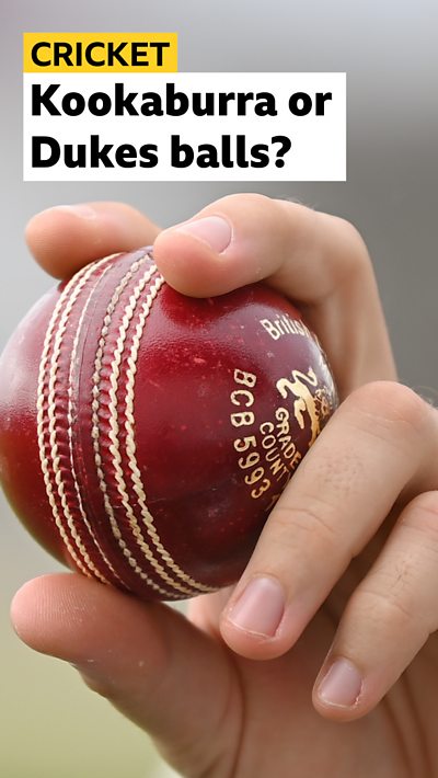 Cricket ball