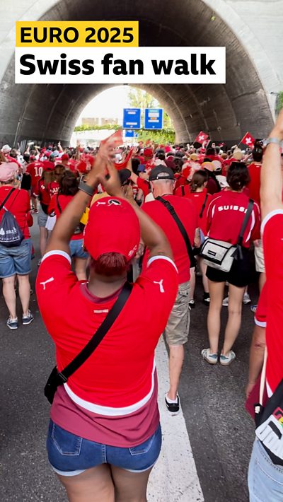Switzerland fans