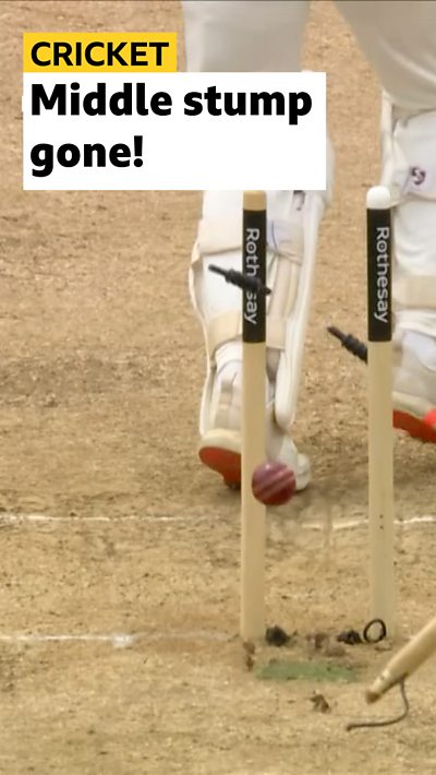 Middle stump gone with ball in vision