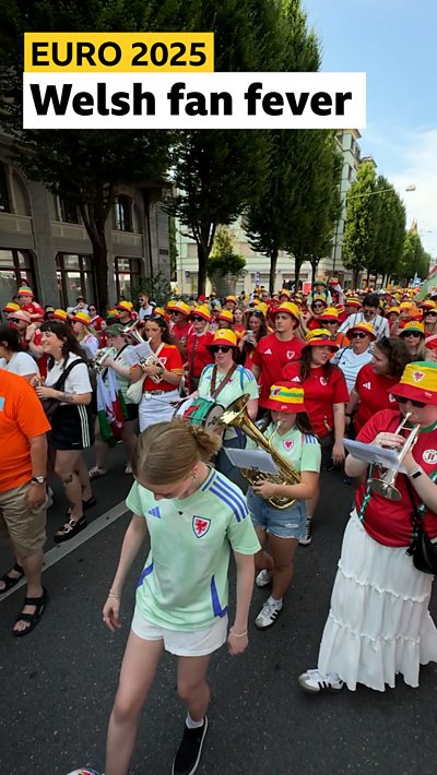 Wales fans