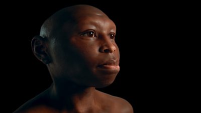 A reconstructed face of a human with dark skin and dark brown eyes against a black background