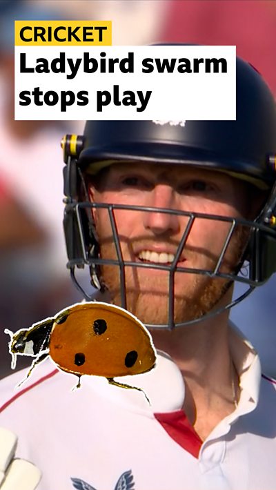 Ben Stokes