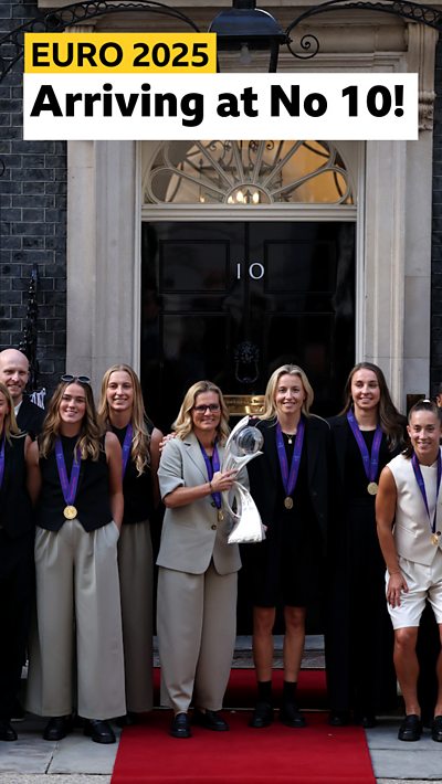 Lionesses