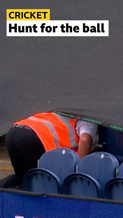 Steward