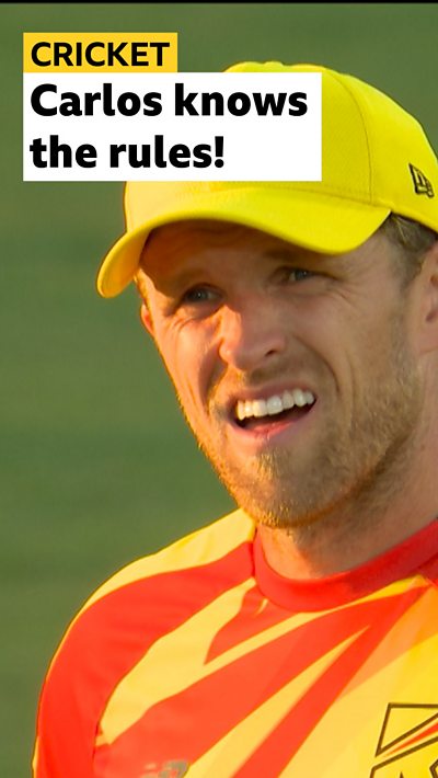 David Willey