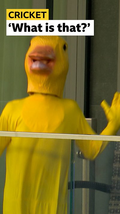 fan in duck costume