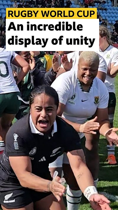 New Zealand and South Africa players