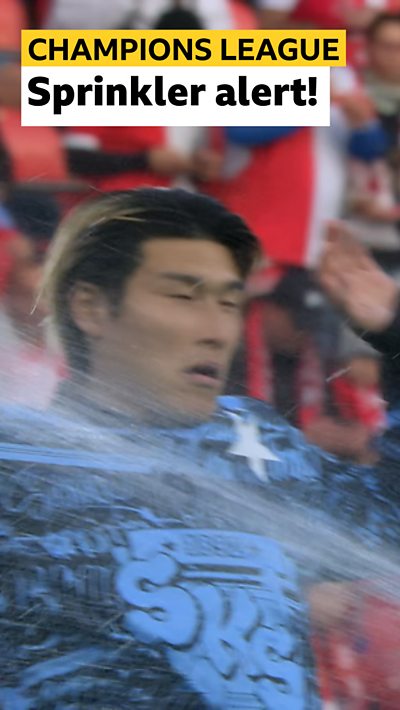 Daiki Hashioka