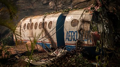 A plane wreckage covered with green vines from the jungle and burn marks. The door is hanging off.