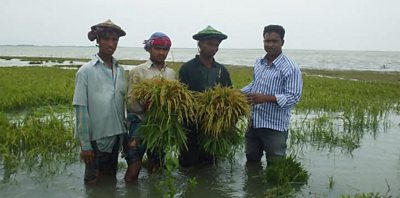 Four men stood in wetlands in Bangladesh, they are up to their knees in water and carrying crops.