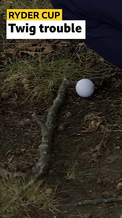 Ball and twig
