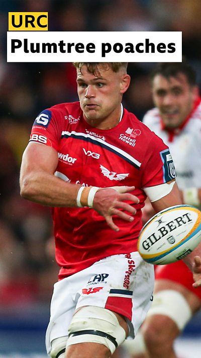 Plumtree try reel