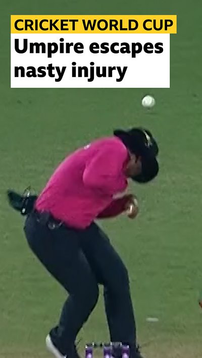 Umpire