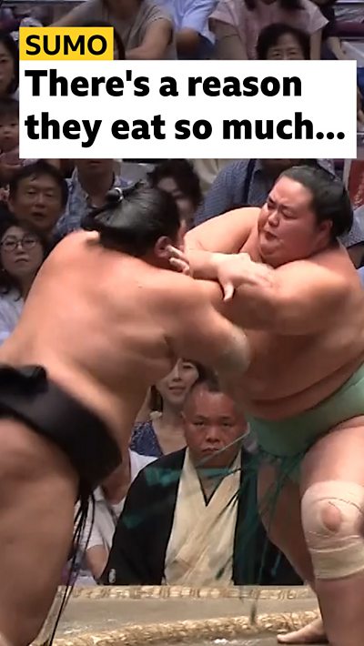 There's a reason they eat so much