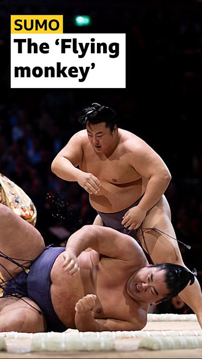 Tobizaru Sumo wrestler taking down his opponent