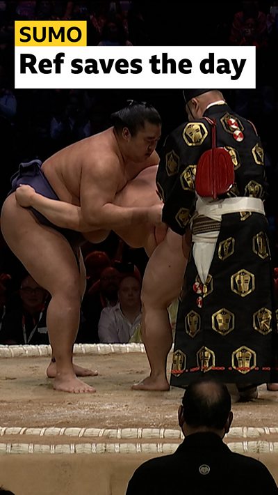 Midorifuji v Nishikigi