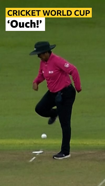 Square leg cricket umpire is hit by the ball