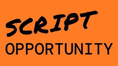 The text Script opportunity in black on a bright orange background