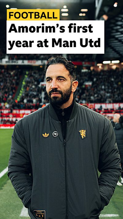 What do fans think about it?