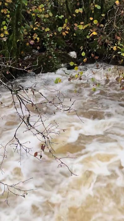 Rhai ysgolion wedi cau yn y de orllewin oherwydd llifogydd