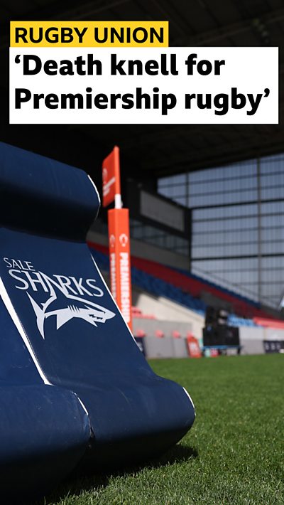 Sale Sharks logo`