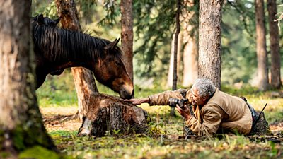 A man lies on the ground holding a camera, gesturing to something on a tree stump as a horse lowers its head towards his hand