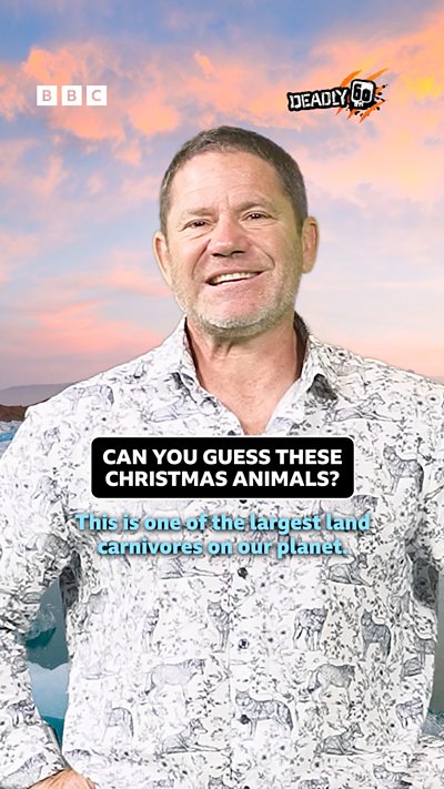 Can you guess these Christmas animals with Steve?