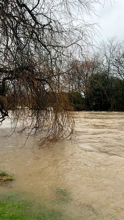 Sawl rhybudd tywydd mewn grym a llifogydd 'yn debygol'