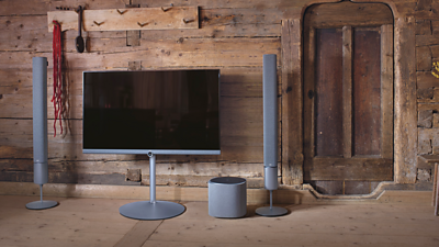 A television, flanked by surround speakers and a subwoofer.